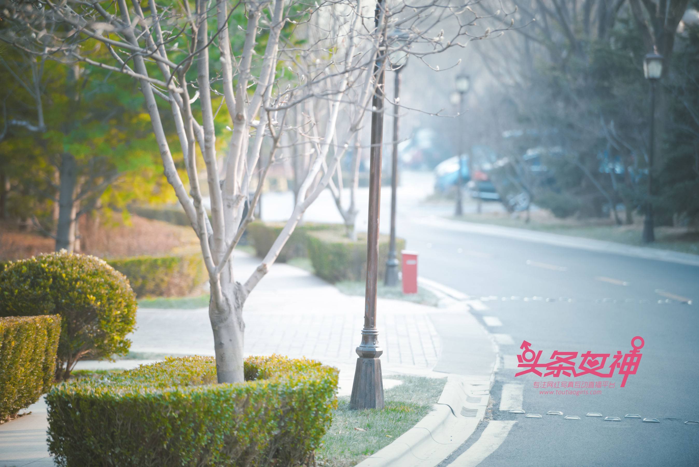 韩夏汐《极致露出》 [头条女神Toutiaogirls]Xiuren秀人写真高清美女套图写真下载-看套图看套图